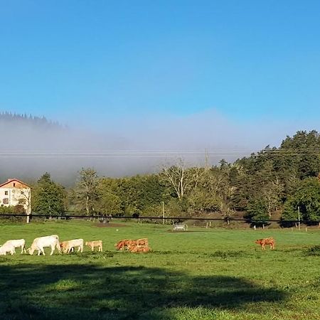 Le Riolet Bed and Breakfast Marsac-en-Livradois Εξωτερικό φωτογραφία